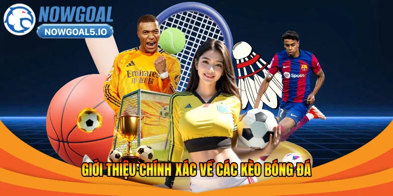 Giới thiệu chính xác về các kèo bóng đá