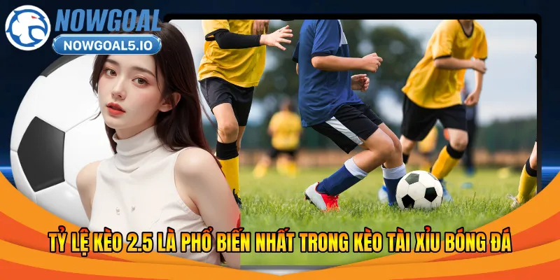 Tỷ lệ kèo 2.5 là phổ biến nhất trong kèo tài xỉu bóng đá 